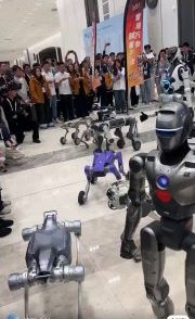 دکتر ایوب رضایی