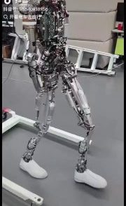 دکتر ایوب رضایی