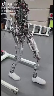 دکتر ایوب رضایی