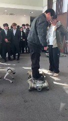 دکتر ایوب رضایی